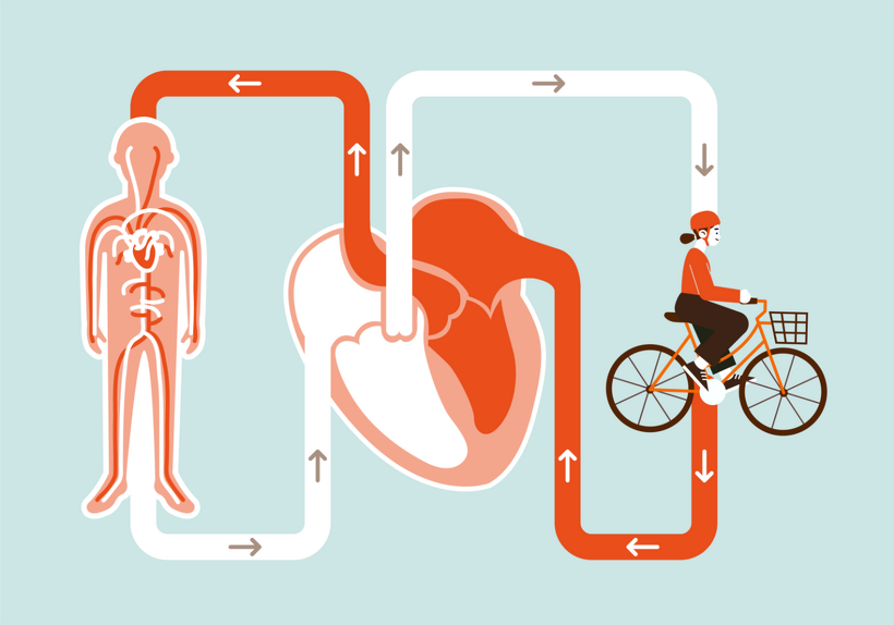 ズバリ、最適な距離の目安は 「15km程度まで」