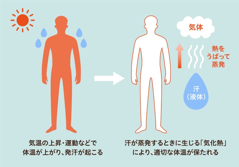 距離と時間の目安をチェック！