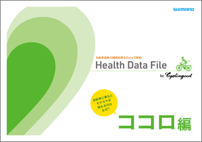 データファイル ココロ編