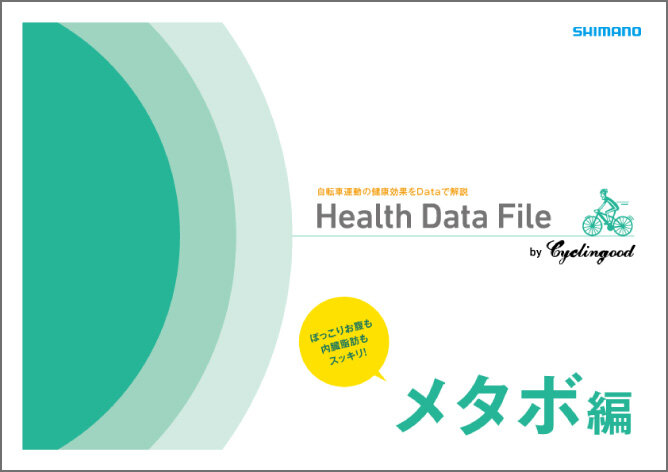 データファイル メタボ編