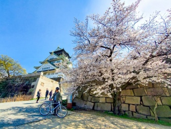 「 桜巡り散走 ~ 大阪市 編 ~ 」